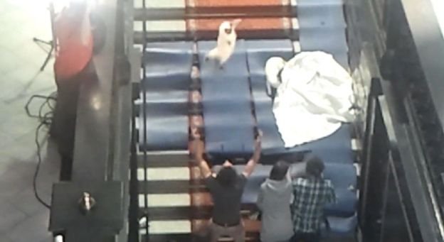 Ποιος είναι ο Γιαν Φαμπρ, ο σκηνοθέτης με τα «παλλόμενα πέη» -Πήγαν να τον δείρουν στο Βέλγιο [εικόνες] | iefimerida.gr 14