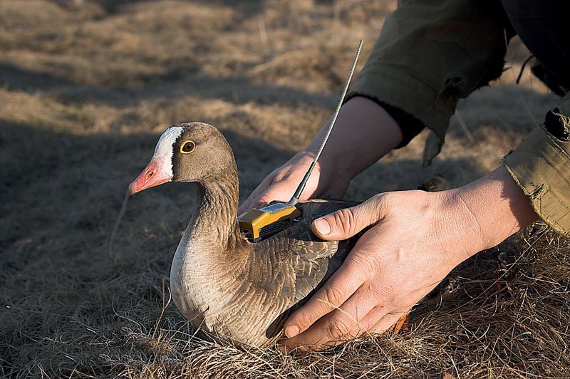Τρεις ελληνικές υποψηφιότητες στους φιναλίστ των βραβείων Natura για το 2016 [εικόνες] | iefimerida.gr 2