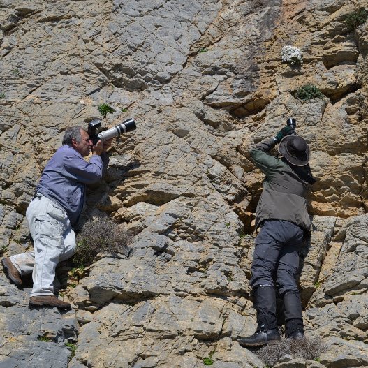 Τρεις ελληνικές υποψηφιότητες στους φιναλίστ των βραβείων Natura για το 2016 [εικόνες] | iefimerida.gr 0