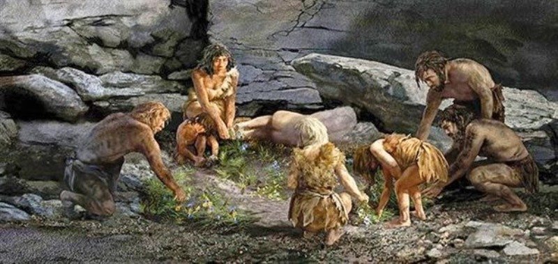 Οι Ευρωπαίοι είμαστε 2% Νεάντερταλ | iefimerida.gr 9