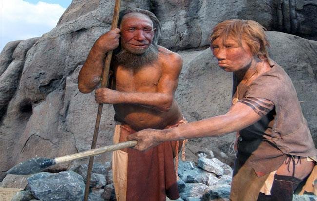 Οι Ευρωπαίοι είμαστε 2% Νεάντερταλ | iefimerida.gr 7