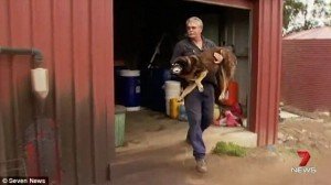 Πέθανε ο γηραιότερος σκύλος στον κόσμο -Ηταν 30 ετών [εικόνες] | iefimerida.gr 0