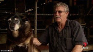 Πέθανε ο γηραιότερος σκύλος στον κόσμο -Ηταν 30 ετών [εικόνες] | iefimerida.gr 1