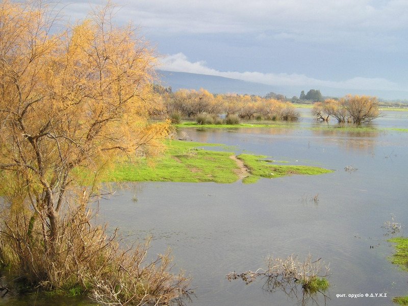 Ισως η πιο εξωτική γωνιά της Ελλάδας: Στροφυλιά -Το δάσος που φθάνει ως την παραλία με τους αμμόλοφους [βίντεο] | iefimerida.gr 10