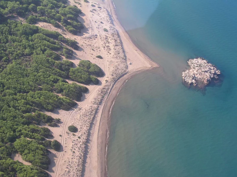 Ισως η πιο εξωτική γωνιά της Ελλάδας: Στροφυλιά -Το δάσος που φθάνει ως την παραλία με τους αμμόλοφους [βίντεο] | iefimerida.gr 3