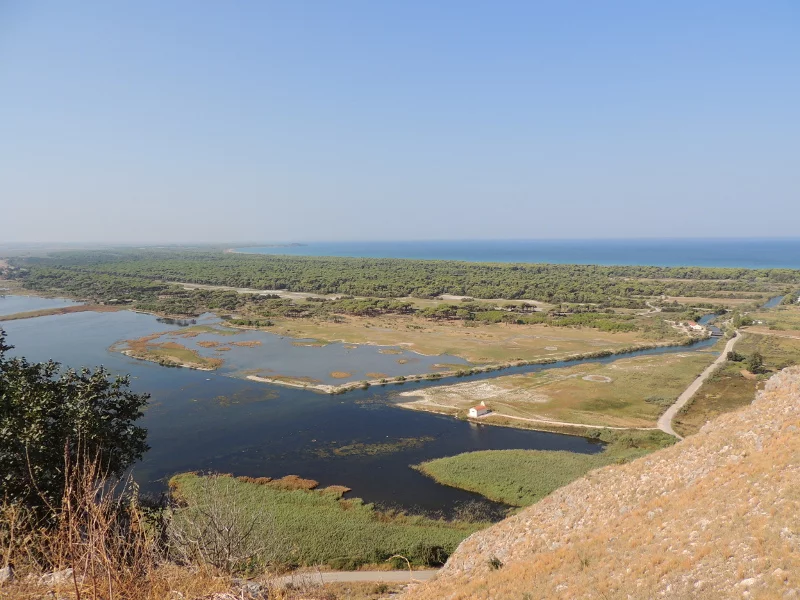 Ισως η πιο εξωτική γωνιά της Ελλάδας: Στροφυλιά -Το δάσος που φθάνει ως την παραλία με τους αμμόλοφους [βίντεο] | iefimerida.gr 6