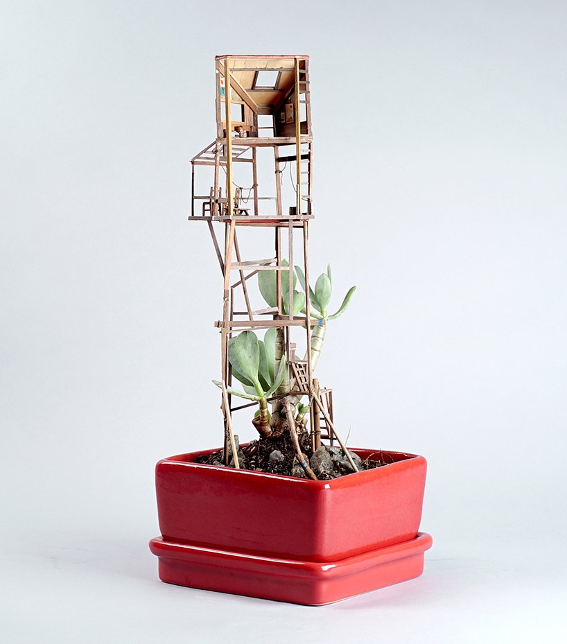 Τώρα μπορείτε και εσείς να αποκτήσετε το δικό σας δεντρόσπιτο... στη γλάστρα [εικόνες] | iefimerida.gr 6