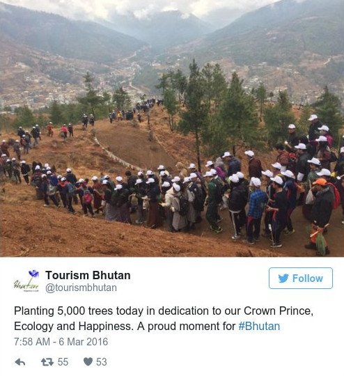 Μπουτάν: Φύτεψαν 108.000 δέντρα για να γιορτάσουν τον ερχομό του διαδόχου [εικόνες] | iefimerida.gr 0