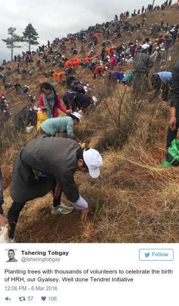 Μπουτάν: Φύτεψαν 108.000 δέντρα για να γιορτάσουν τον ερχομό του διαδόχου [εικόνες] | iefimerida.gr 1