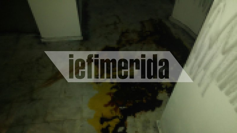 Εδώ δολοφονήθηκε η Ελευθερία Αγραφιώτου - Προσοχή: Σκληρές εικόνες | iefimerida.gr 5