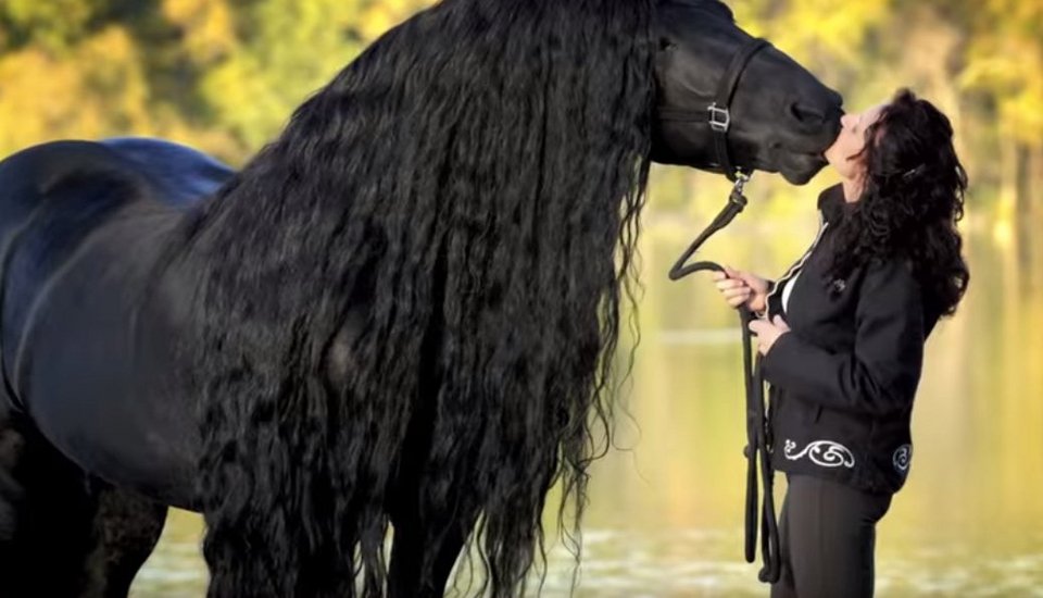 Φρειδερίκος ο Μέγας: Αυτό είναι το πιο όμορφο άλογο στον κόσμο [εικόνες & βίντεο]  | iefimerida.gr 7