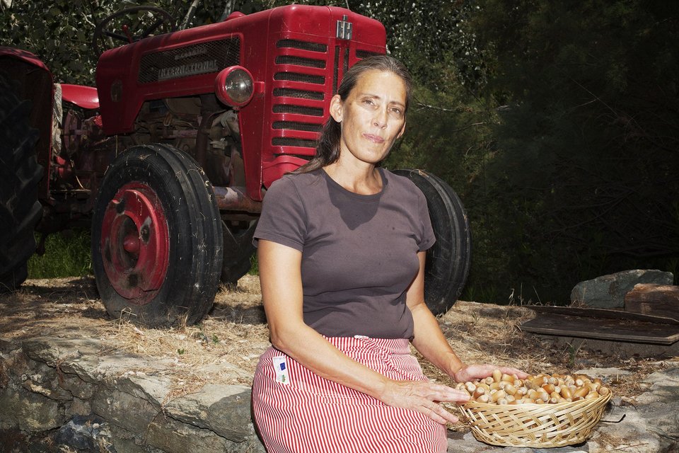 Μπισκότα από βελανίδι -Η απίστευτη επιχείρηση μιας Αμερικανίδας στην Τζια [εικόνες] | iefimerida.gr 0