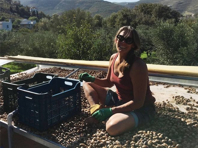 Μπισκότα από βελανίδι -Η απίστευτη επιχείρηση μιας Αμερικανίδας στην Τζια [εικόνες] | iefimerida.gr 4