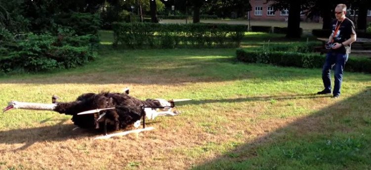 Ο Ολλανδός που κάνει την τρέλα του τέχνη -Ταρίχευσε τον γάτο του και τον έκανε drone [εικόνες&βίντεο] | iefimerida.gr 7
