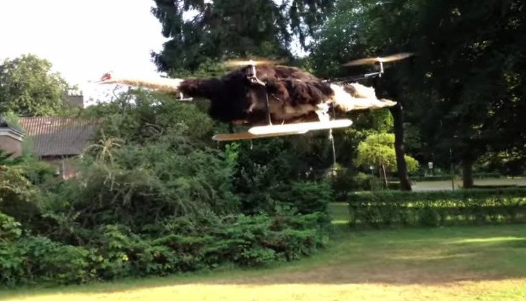 Ο Ολλανδός που κάνει την τρέλα του τέχνη -Ταρίχευσε τον γάτο του και τον έκανε drone [εικόνες&βίντεο] | iefimerida.gr 8