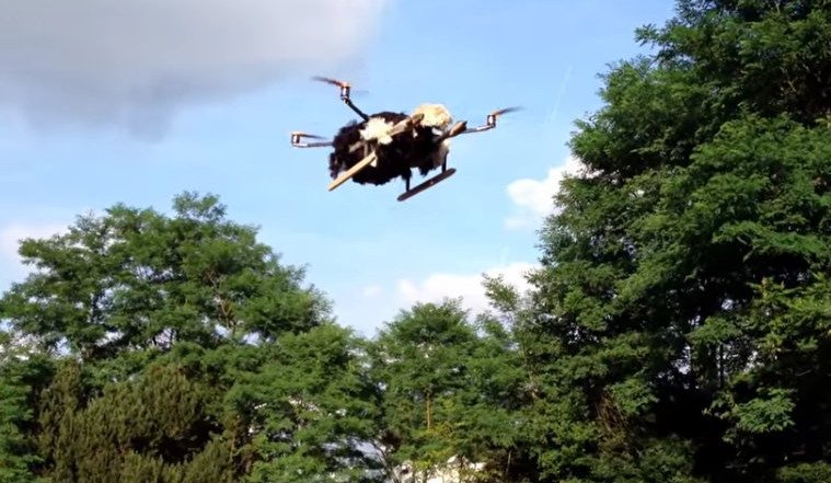 Ο Ολλανδός που κάνει την τρέλα του τέχνη -Ταρίχευσε τον γάτο του και τον έκανε drone [εικόνες&βίντεο] | iefimerida.gr 9