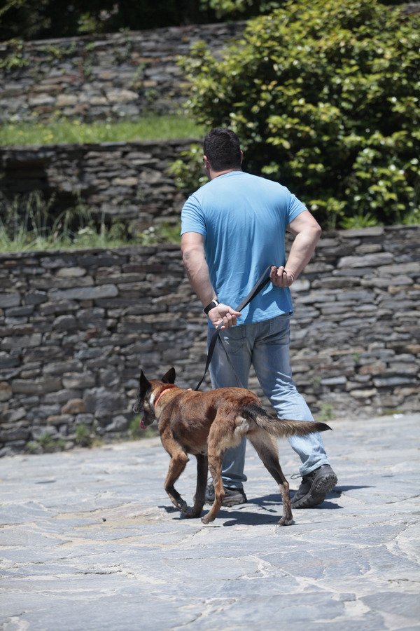 Στο μοναστήρι του Αγιου Παντελεήμονα έφτασε ο Πούτιν [εικόνες & βίντεο] | iefimerida.gr 20