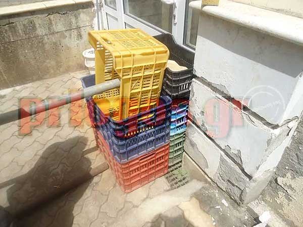 Μέσα στο σπίτι με τα ροτβάιλερ -Εδώ κατασπάραξαν τον 5χρονο [εικόνες] | iefimerida.gr 2