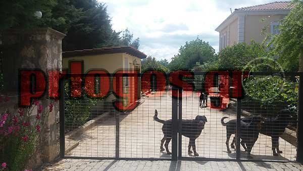 Μέσα στο σπίτι με τα ροτβάιλερ -Εδώ κατασπάραξαν τον 5χρονο [εικόνες] | iefimerida.gr 0