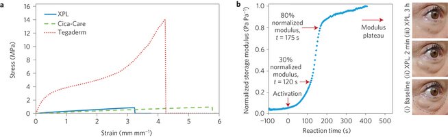 Το νέο lifting των 24 ωρών: Εξαφανίζει τις ρυτίδες [εικόνες] | iefimerida.gr 0