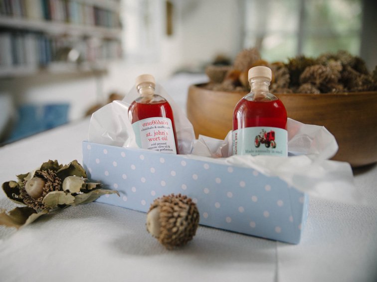 Μπισκότα από βελανίδι -Η απίστευτη επιχείρηση μιας Αμερικανίδας στην Τζια [εικόνες] | iefimerida.gr 13