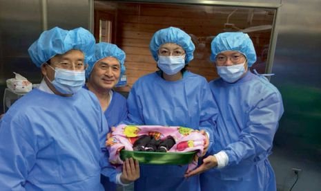 Κίνα: Θα κλωνοποιήσουν εκατομμύρια ζώα και ετοιμάζονται να κλωνοποιήσουν τον άνθρωπο [εικόνες] | iefimerida.gr 3