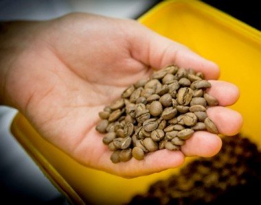 Ο καλύτερος... καφετζής είναι Ελληνας -Πρώτος ανάμεσα σε 200 σε διεθνή διαγωνισμό [εικόνες] | iefimerida.gr 0