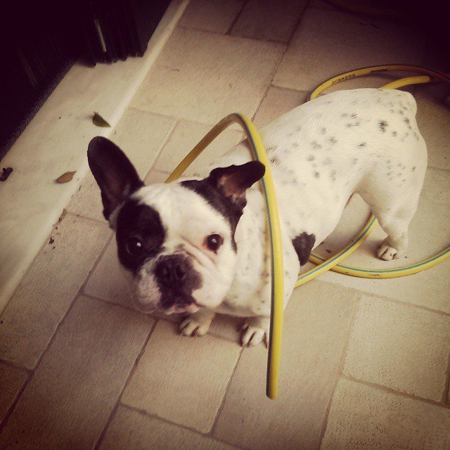 96 πράγματα που μπορείς να κάνεις όταν βαριέσαι [εικόνες] | iefimerida.gr 7