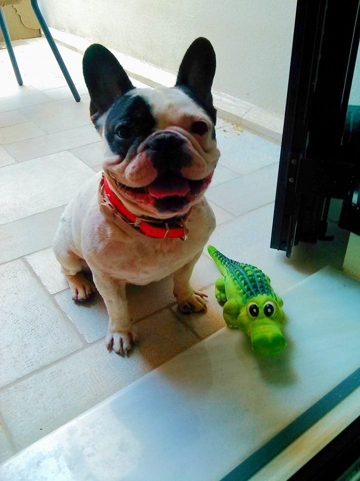 36 πράγματα που μπορείτε να κάνετε φέτος το καλοκαίρι χωρίς να χαλάσετε ευρώ [λίστα] | iefimerida.gr 6