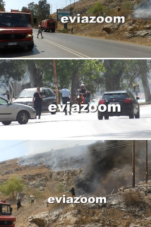 Χαλκίδα: Μεγάλη φωτιά σε εξέλιξη -Απειλεί σπίτια κοντά στη Λάμψακο | iefimerida.gr 0