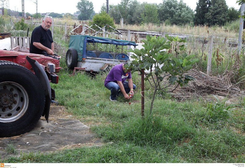 Εγκλημα στη Γέφυρα: Στα μαύρα το χωριό, σημειώματα και λουλούδια στον τόπο της δολοφονίας του 14χρονου [εικόνες]  | iefimerida.gr 5