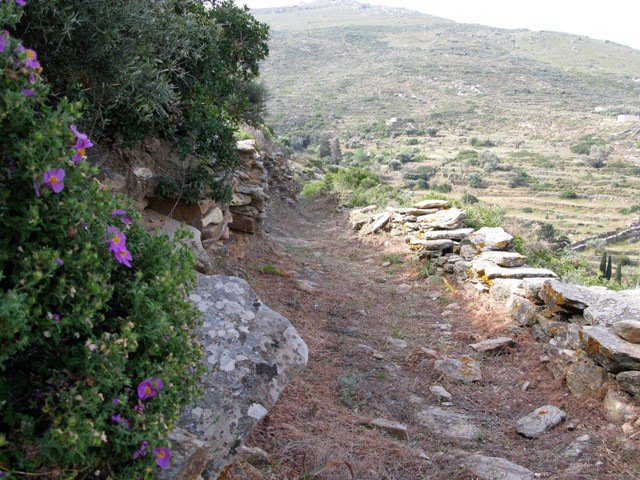 Ιος: 13,5 χιλιόμετρα μαγευτικής πεζοπορίας- Ανάμεσα σε θυμάρια, αμάραντους και απόμερες παραλίες [εικόνες] | iefimerida.gr 3