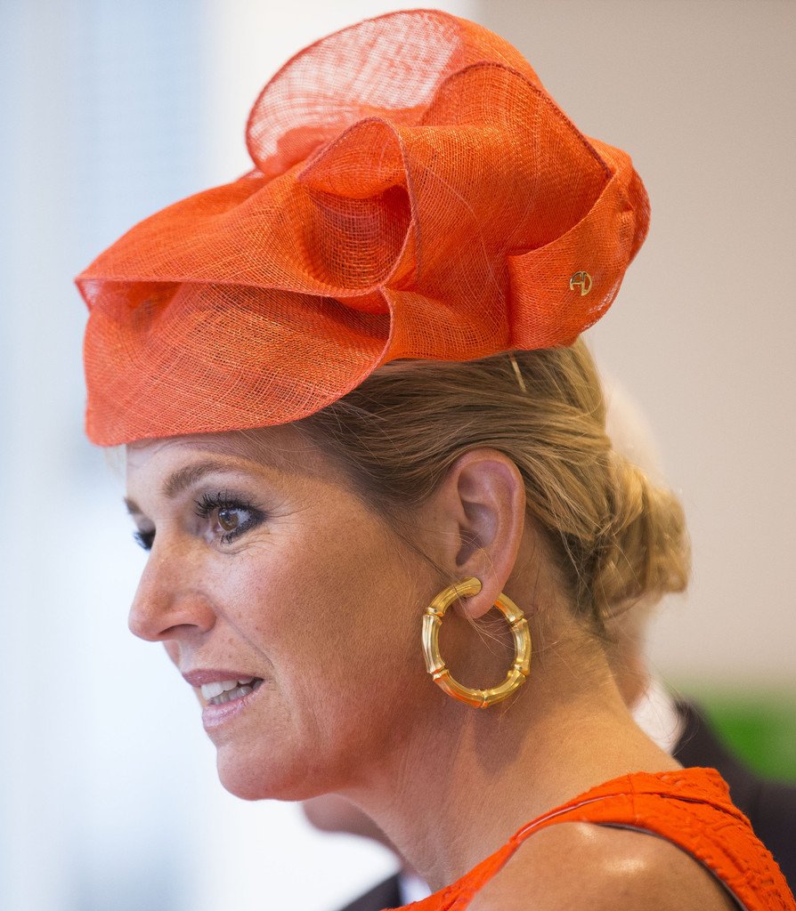 Oι βασιλιάδες τρελάθηκαν! –Δείτε τα καμώματα της βασίλισσας της Ολλανδίας [εικόνες] | iefimerida.gr 13