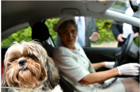 Η Μαριάννα Πυργιώτη νύφη -Με vintage λουκ, καπέλο, γάντια, συνοδεία του σκύλου της! [εικόνα] | iefimerida.gr 0