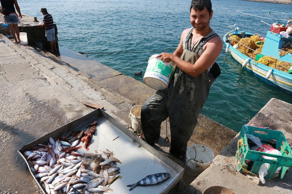 Αγνωστο είδος ψαριού πιάστηκε στα δίχτυα ψαρά στη Μυτιλήνη [εικόνες] | iefimerida.gr 1