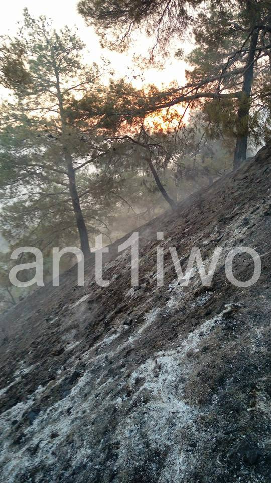 Πύρινη λαίλαπα κατακαίει την Κύπρο - Εκκενώνονται στρατόπεδα και μοναστήρια [εικόνες& βίντεο] | iefimerida.gr 7