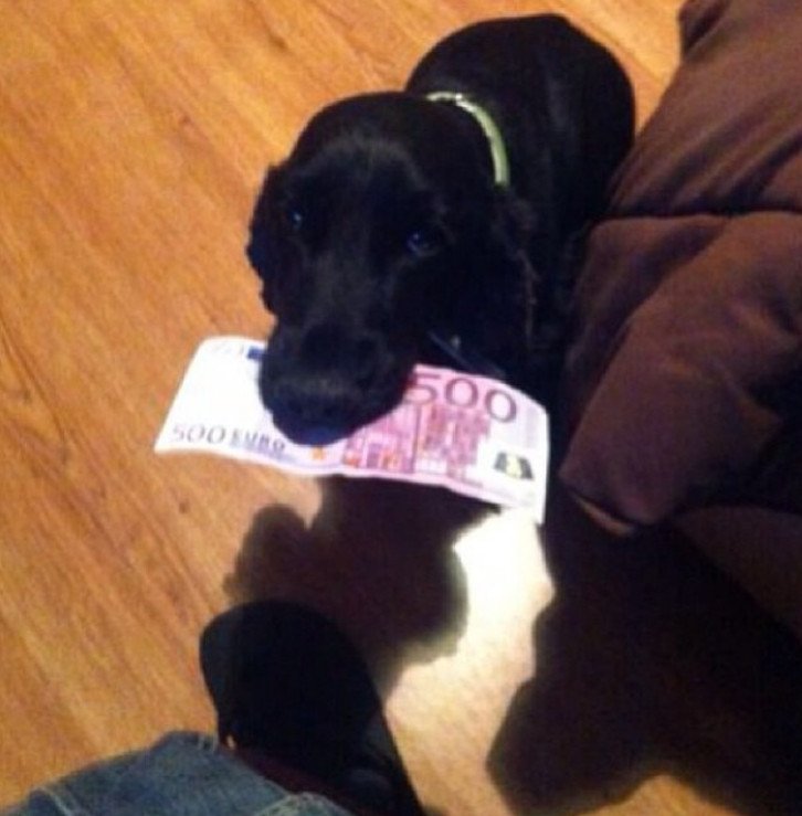 Ποια πλουσιόπαιδα; Οι πλούσιοι γονείς κάνουν μπάνιο με δολάρια, σαν τον Σκρουτζ [εικόνες] | iefimerida.gr 17