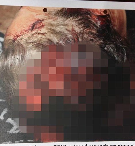 Στη δημοσιότητα οι φωτογραφίες της νεκρής Ρίβα -Με μώλωπες, βουτηγμένη στα αίματα [σκληρές εικόνες] | iefimerida.gr 2