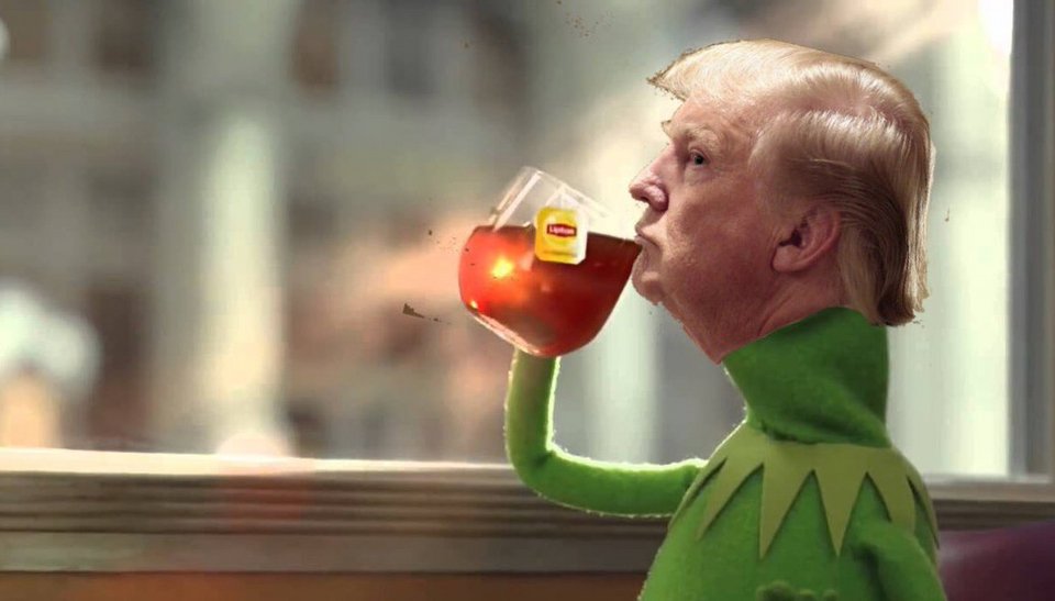 Σέξι κορίτσια τα βγάζουν όλα για να στηρίξουν τον Τραμπ -Τις τρολάρει το Ιντερνετ [εικόνες] | iefimerida.gr 8