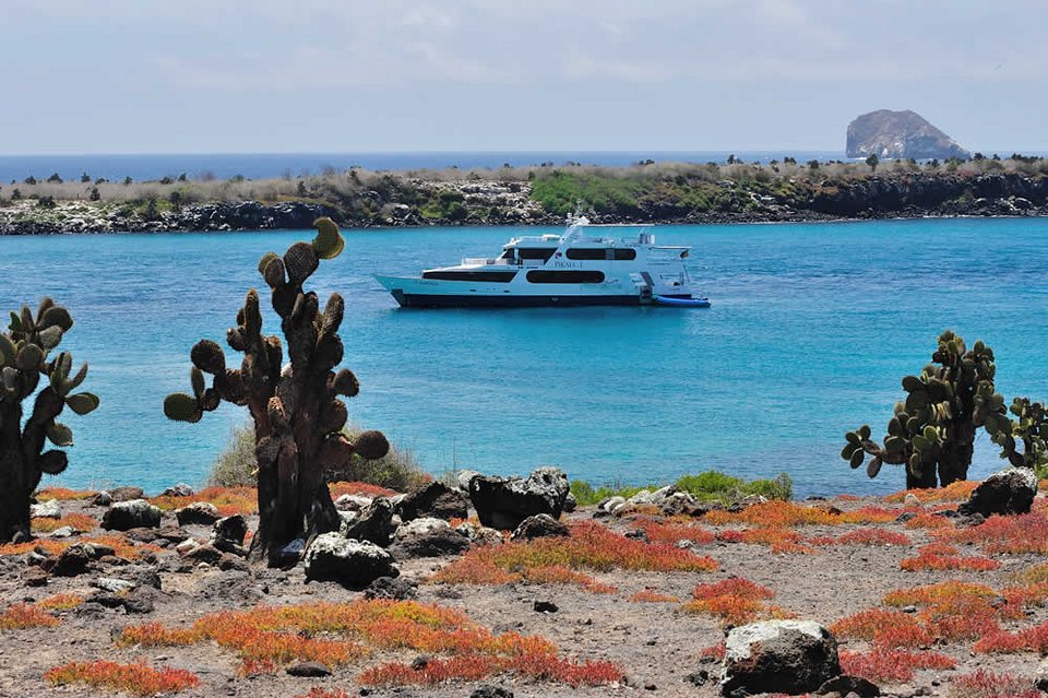 Νησιά Γκαλαπάγκος -Τι έχουν αυτά τα νησιά και τα επισκέπτονται νεόνυμφοι; [εικόνες] | iefimerida.gr 6