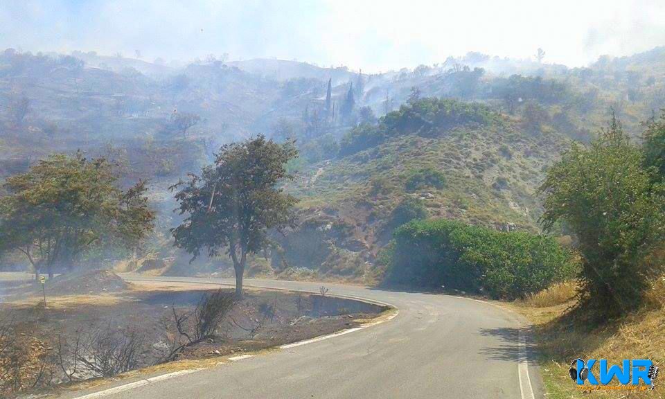 Σε ύφεση η φωτιά στον Αγιο Ιωάννη Κυνουρίας [εικόνες] | iefimerida.gr 1