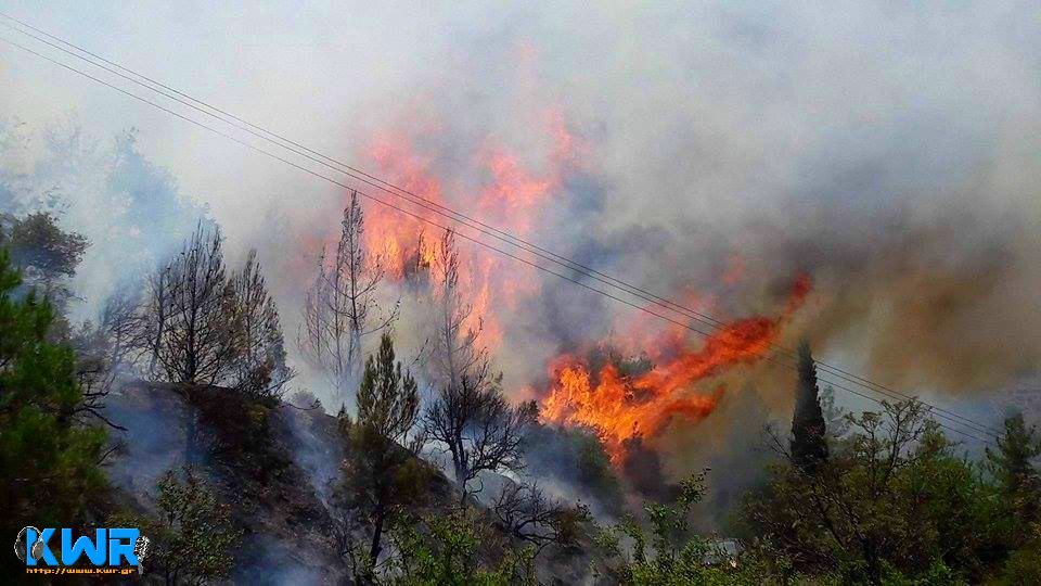Σε ύφεση η φωτιά στον Αγιο Ιωάννη Κυνουρίας [εικόνες] | iefimerida.gr 0