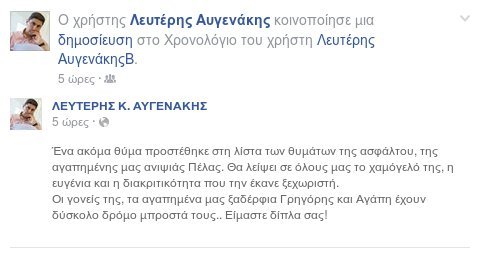 Το συγκινητικό μήνυμα Αυγενάκη για την 18χρονη ανιψιά του που σκοτώθηκε σε τροχαίο | iefimerida.gr 0