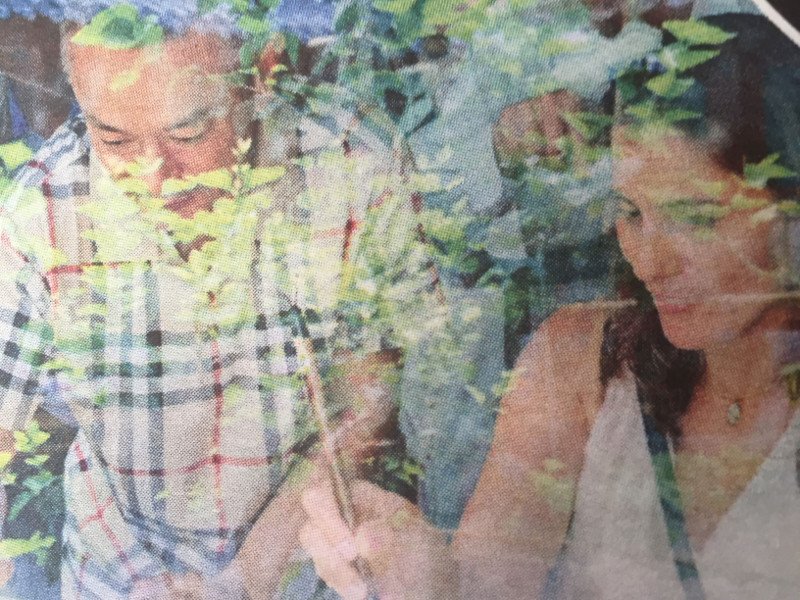 Πώς πέρασε η Περιστέρα Μπαζιάνα στην Κίνα [εικόνες] | iefimerida.gr 1