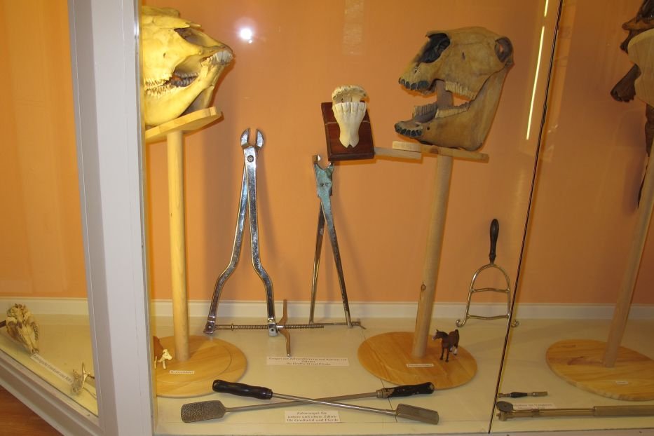 Ενα διαφορετικό μουσείο: Με οδοντιατρικά εργαλεία, μασέλες και αντικείμενα από το 1750[εικόνες] | iefimerida.gr 0