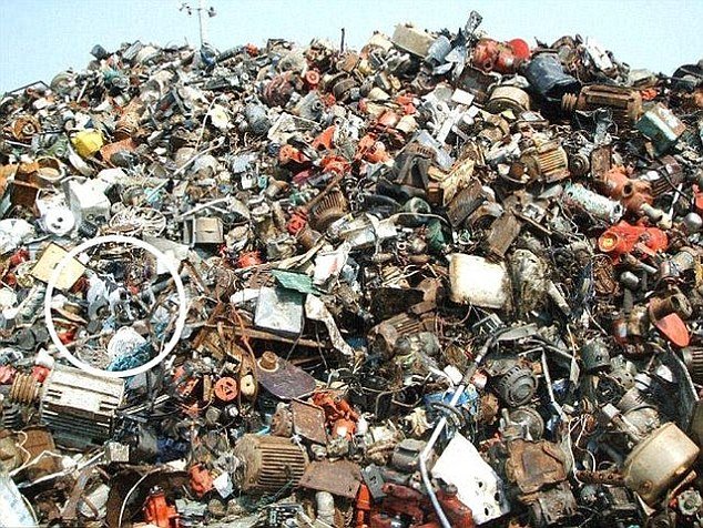 Ο νέος γρίφος που τρέλανε το Διαδίκτυο -Μπορείτε να εντοπίσετε τη... γάτα; [εικόνες] | iefimerida.gr 1