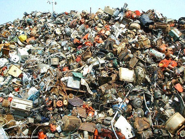 Ο νέος γρίφος που τρέλανε το Διαδίκτυο -Μπορείτε να εντοπίσετε τη... γάτα; [εικόνες] | iefimerida.gr 0