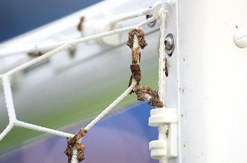 Η επίθεση από νυχτοπεταλούδες στον τελικό του EURO [εικόνες] | iefimerida.gr 1