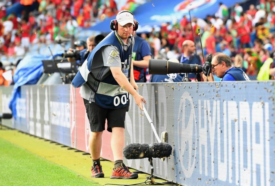 Η επίθεση από νυχτοπεταλούδες στον τελικό του EURO [εικόνες] | iefimerida.gr 4