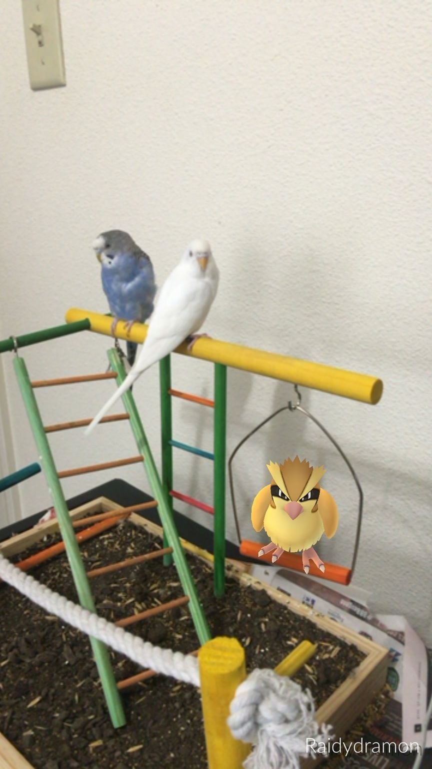 Το «τερμάτισαν» με το Pokemon GO -Παίκτες προκάλεσαν ατυχήματα, βρήκαν πτώματα [εικόνες] | iefimerida.gr 5